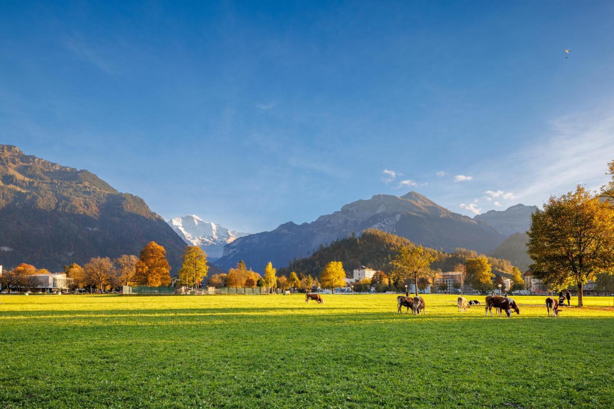 Hapimag Ferienwohnungen Entrelagos Exterior foto